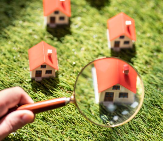 Jak podnieść wartość działki przed sprzedażą? grunt, sprzedaż