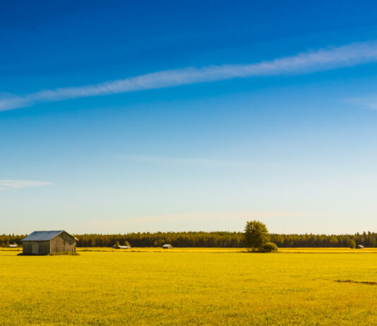 Adaptacja stodoły na dom – co musisz wiedzieć? stodoła jako dom
