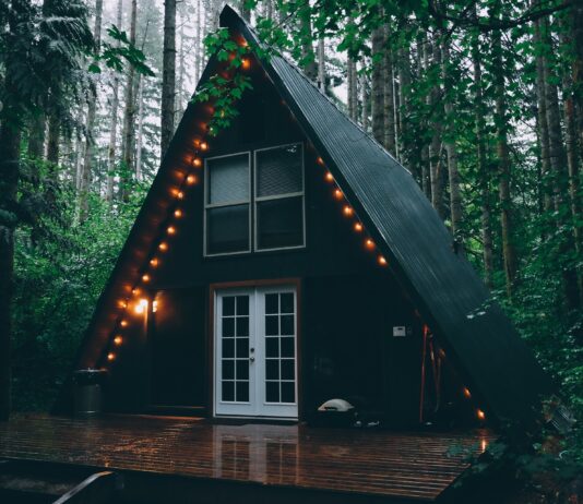 Jak wybudować dom w lesie? Przewodnik krok po kroku nieruchomość na terenie lasu