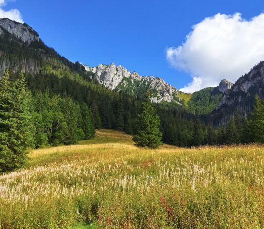 Działka w górach – wszystko, co musisz wiedzieć zakup nieruchomości w górach